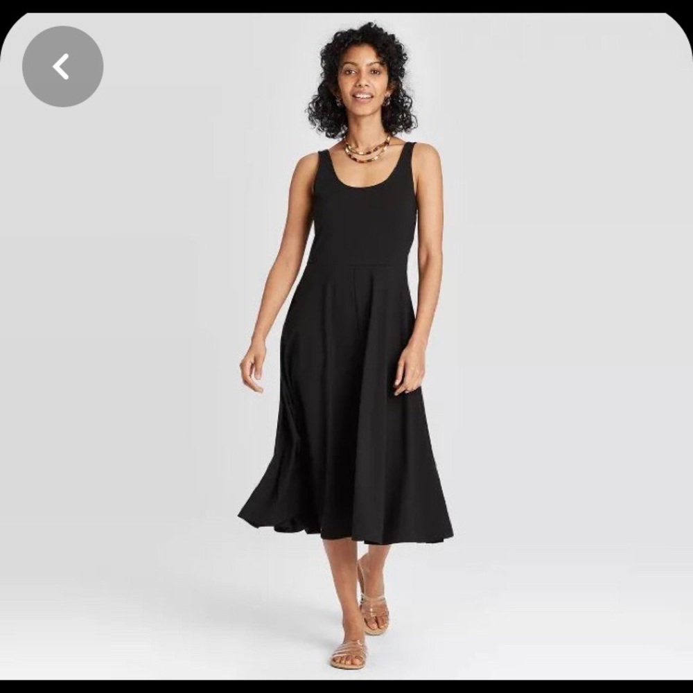 Target A New Day Sleeveless Ballet Dress